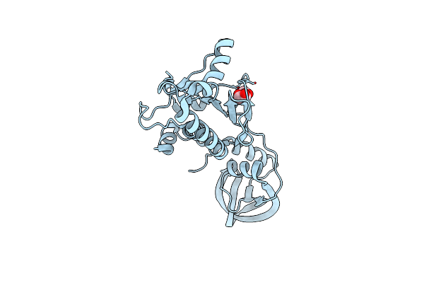 5A7T image