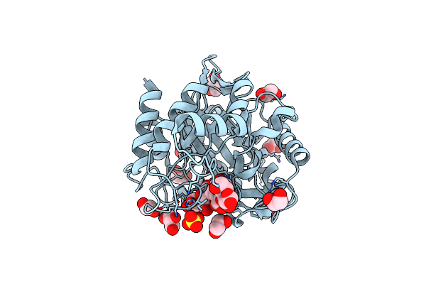 5A8P image