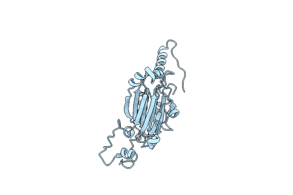 5A8S image
