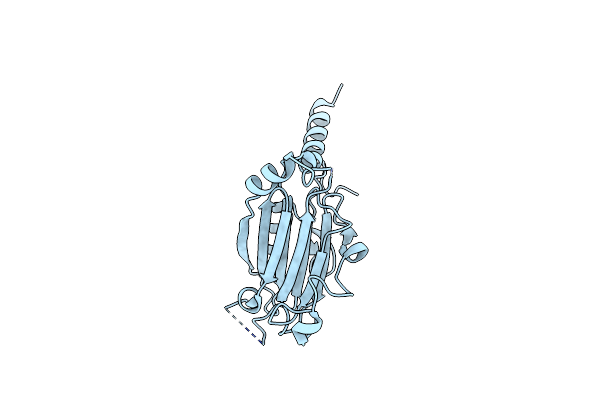 5A8T image