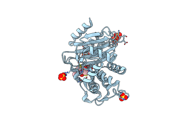 5A92 image