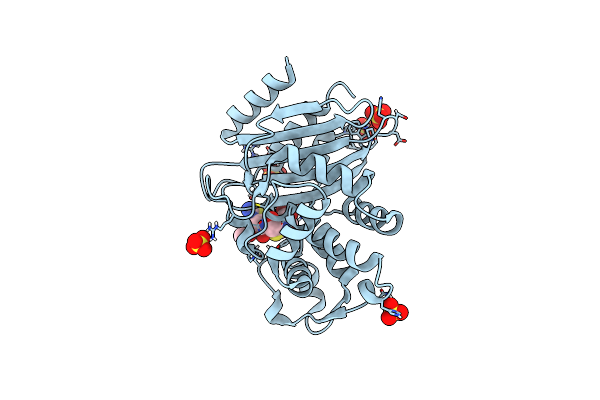 5A93 image