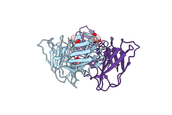 5A9D image