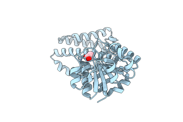 5A9R image