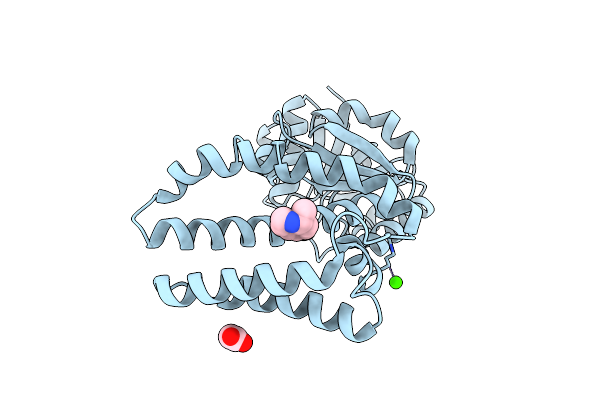 5A9T image