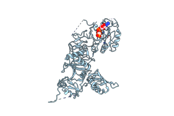 5A9W image