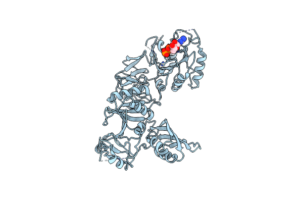 5A9X image