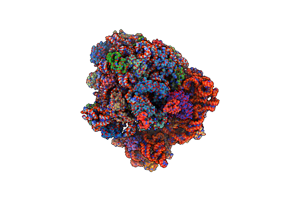 5A9Z image