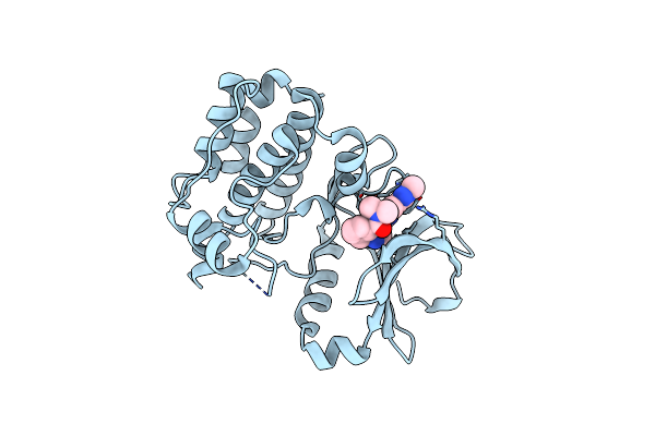 5AAF image