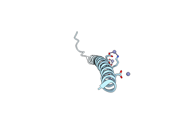 5ABS image
