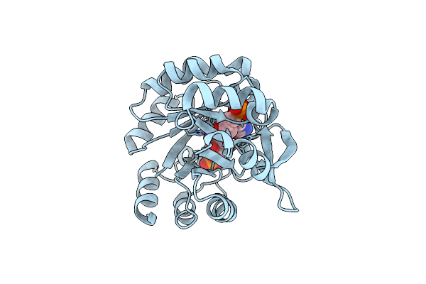 5ABT image