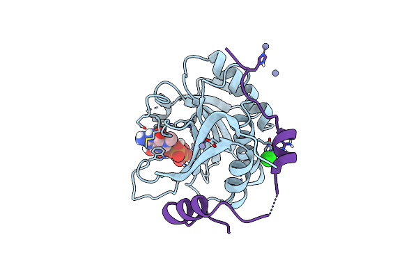 5ABX image