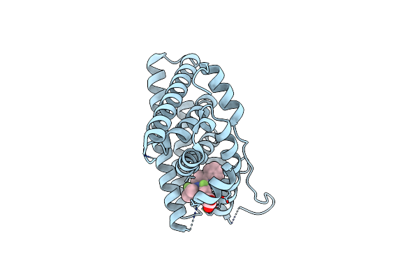 5ACC image