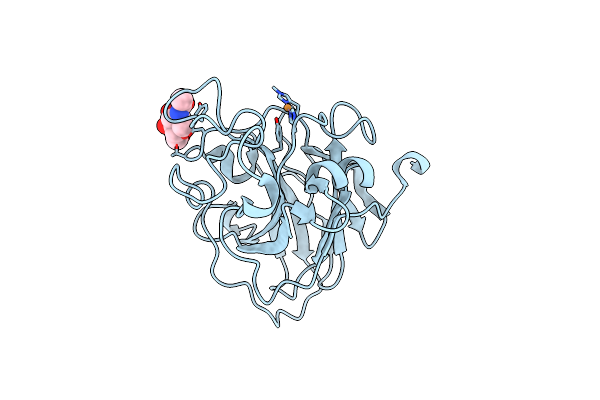 5ACG image