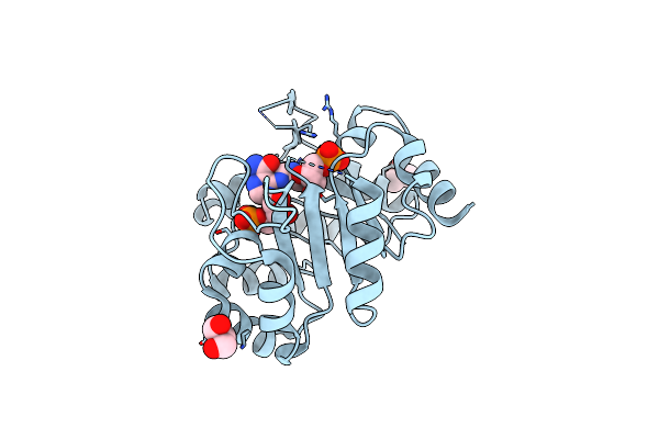 5AHF image