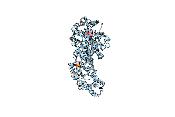 5AI5 image