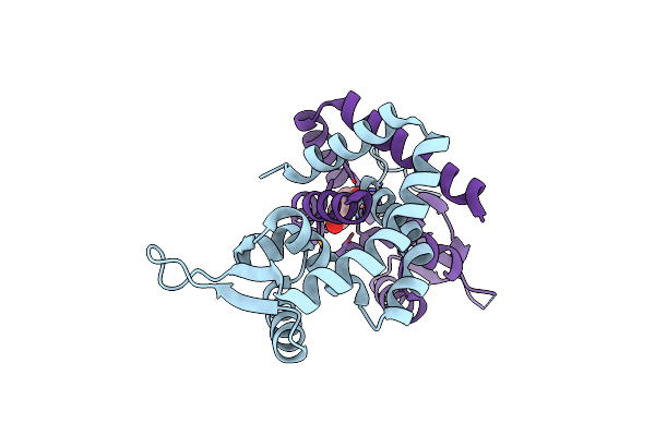 5AIP image