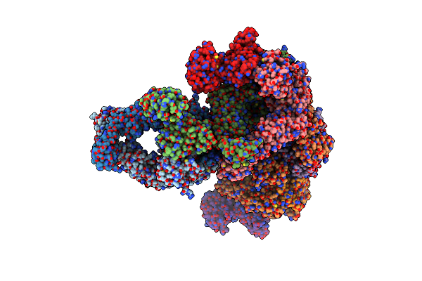5AKC image