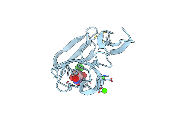 5AMH image