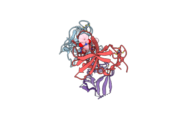 5AMI image