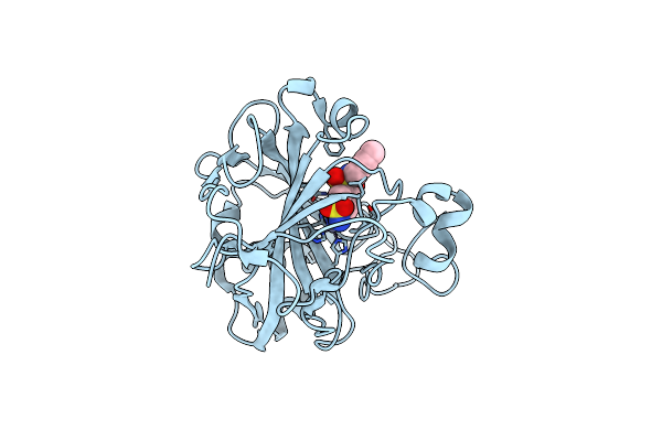 5AML image