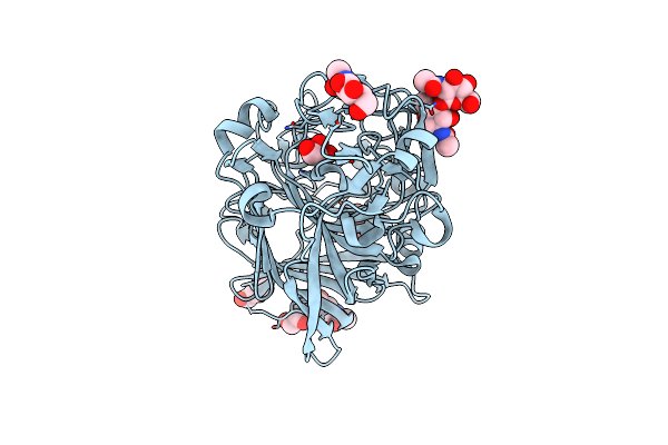 5AMP image