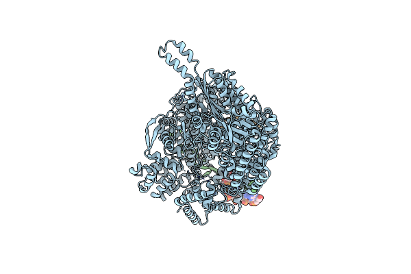 5AMQ image