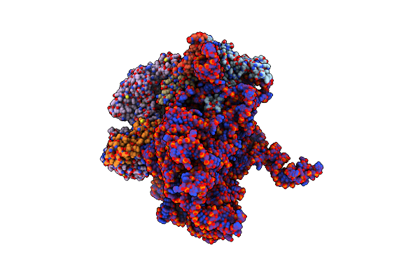 5ANC image