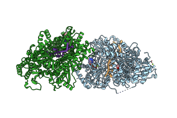 5AOR image