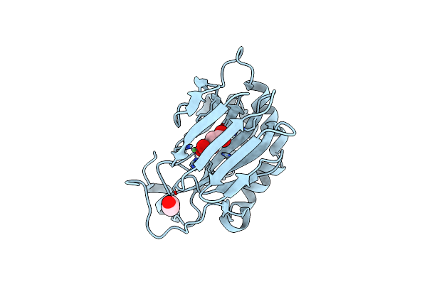 5APA image