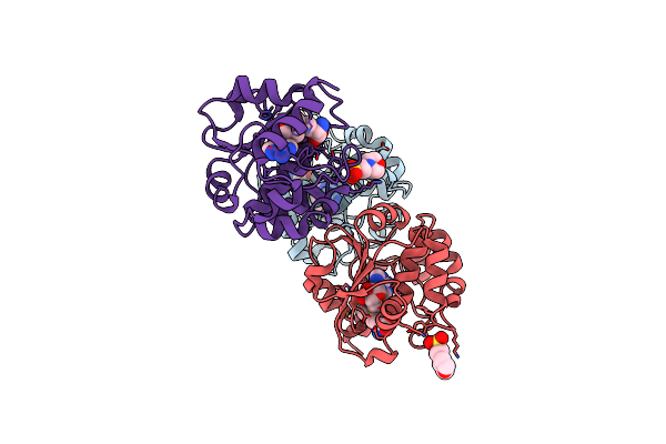 5APG image