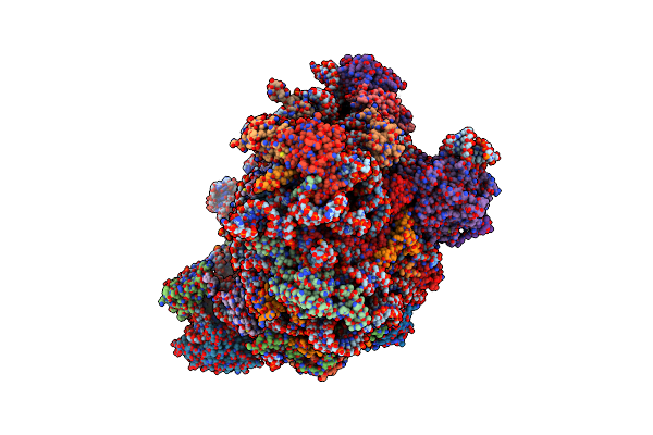 5APN image