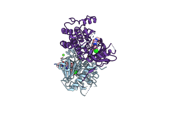 5AR5 image