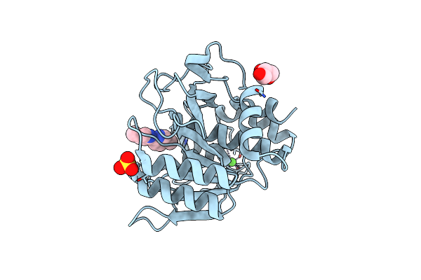 5ARC image