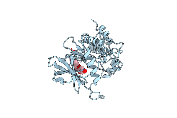 5AUX image