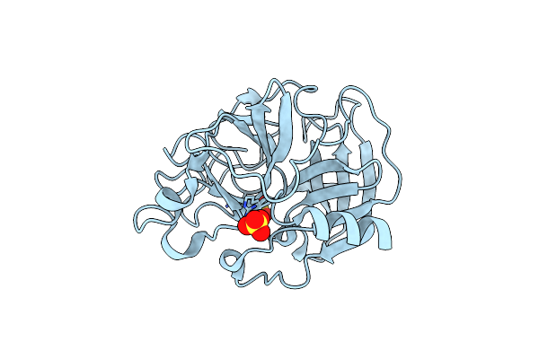 5AVD image