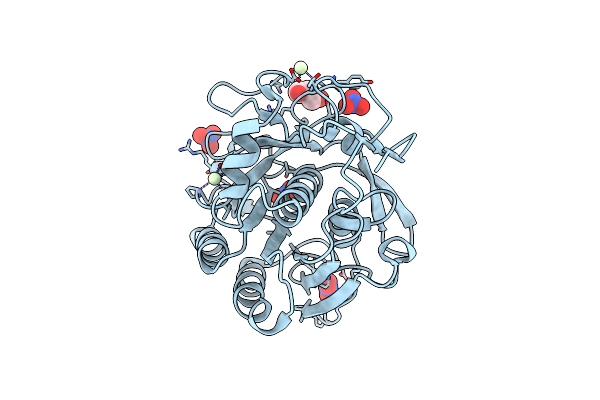 5AVK image