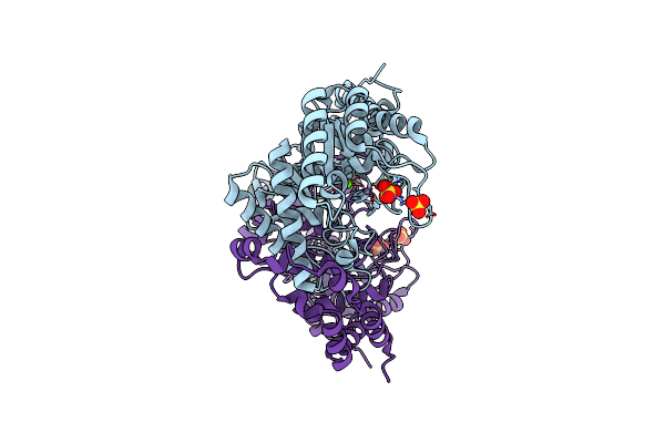 5AVN image