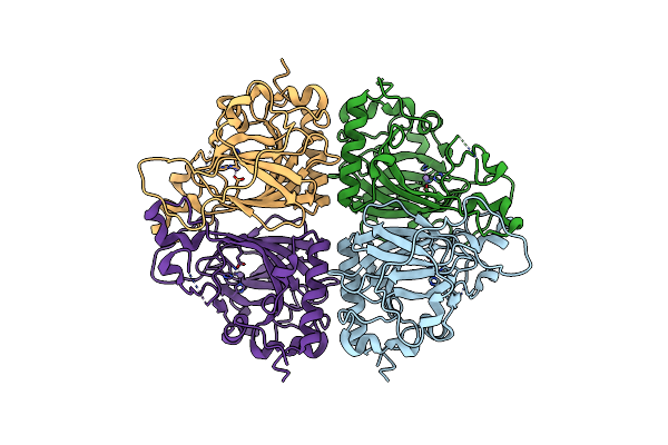 5AVP image