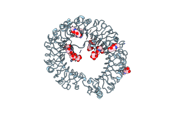 5AWB image