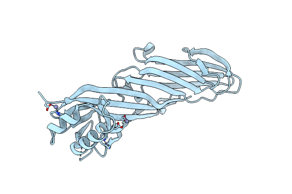 5AWR image