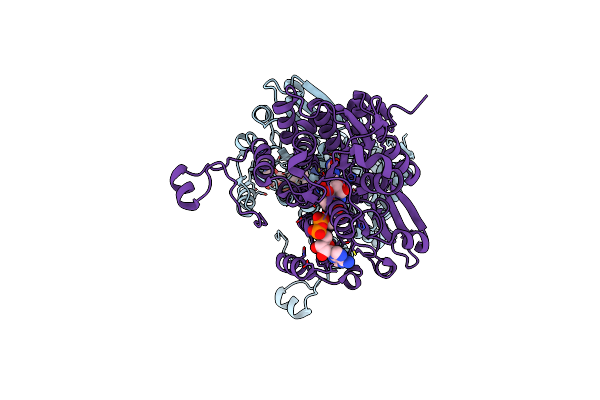 5AXD image