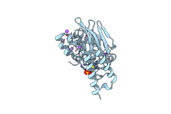 5AXR image