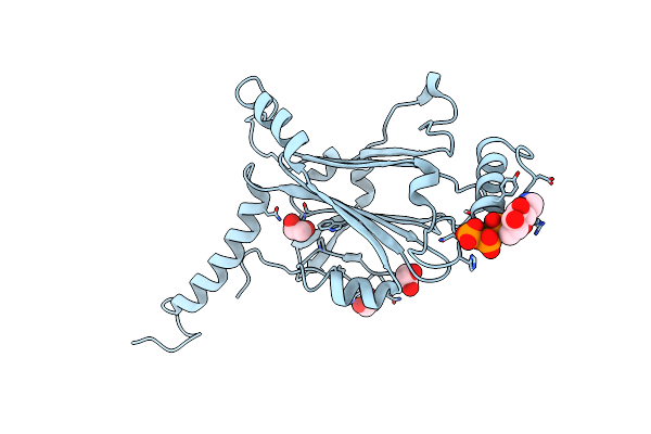 5AXV image