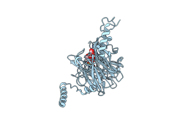 5AYC image