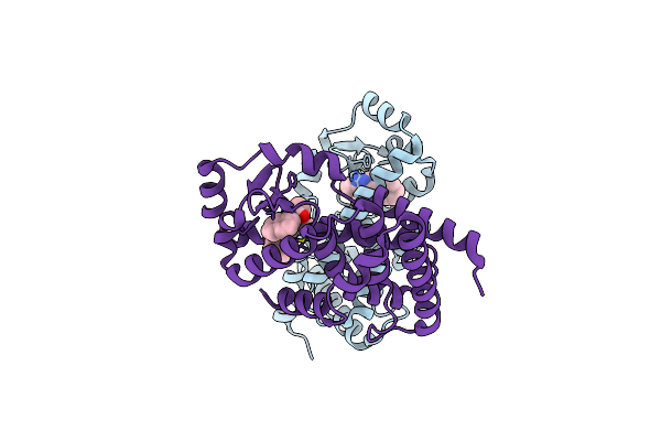 5AYG image