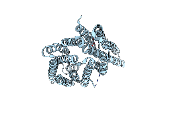 5AYM image