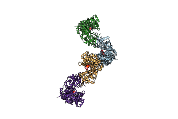 5AZJ image