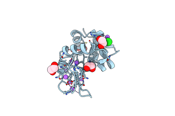 5B06 image