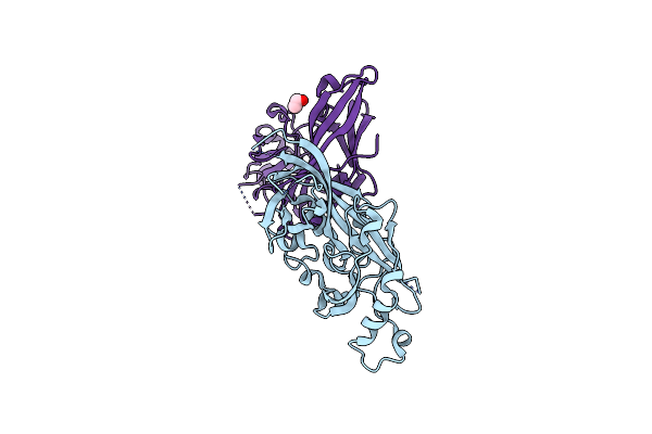 5B0V image